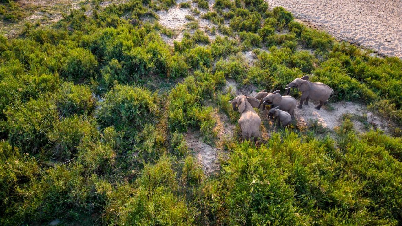 Buckler'S Africa Lodge Kruger Park Коматипорт Экстерьер фото